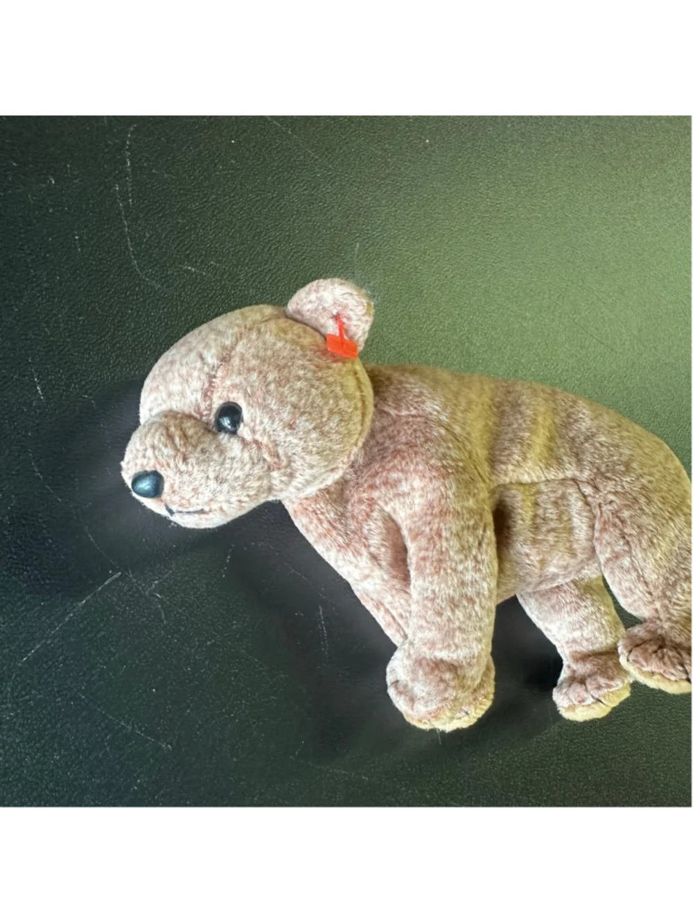 Y2K Franklin Activity Book + Ty Pecan Bear Plush 2000s Nostalgia Bundle